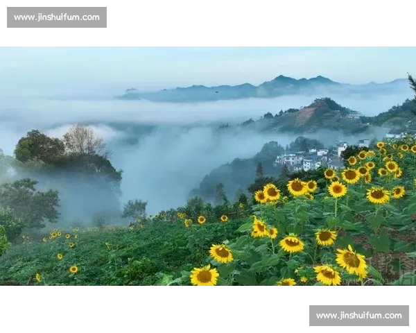 东京都市光影下的向日葵奇遇与自然之美交织的诗意画卷